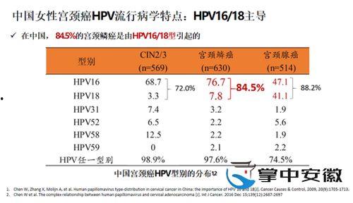 国产你懂的网站,内容丰富,暗藏玄机